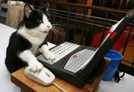 Nome:   gatto-al-computer.jpg
Visite:  203
Grandezza:  35.7 KB