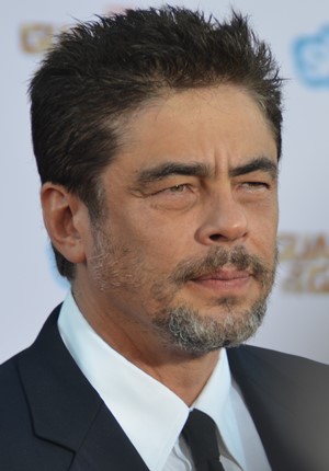 Nome:   Benicio_Del_Toro_-_Guardians_of_the_Galaxy_premiere_-_July_2014_(cropped).jpg
Visite:  160
Grandezza:  35.8 KB