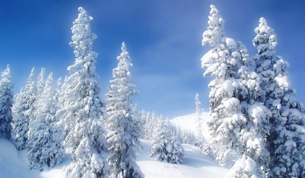 Nome:   -downloadfiles-wallpapers-1024_600-winter_wonderland_wallpaper_winter_nature_1100.jpg
Visite:  257
Grandezza:  91.9 KB