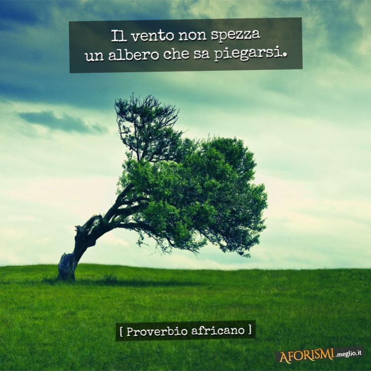 Nome:   il-vento-non-spezza-un-albero-che-sa-piegarsi.jpg
Visite:  248
Grandezza:  75.9 KB