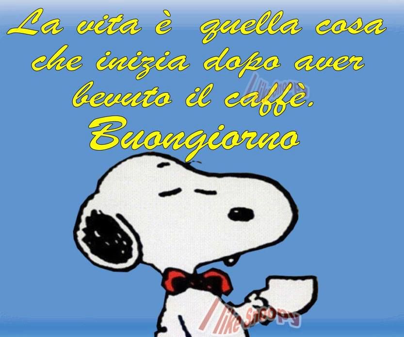 Nome:   snoopy.jpg
Visite:  1533
Grandezza:  77.4 KB