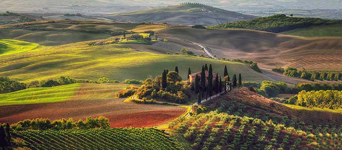 Nome:   toscana.jpg
Visite:  1142
Grandezza:  44.3 KB